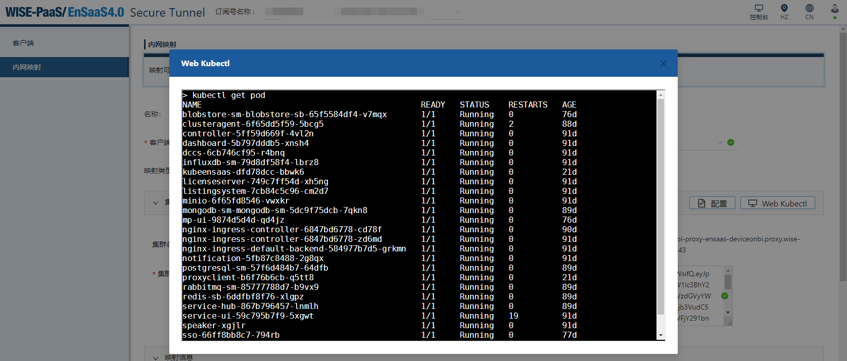 Kubernetes集群类型映射提供Web kubectl，通过外网可以操作私有云部署的集群